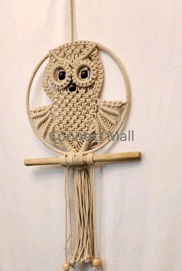 Priva Arts Premium Macrame Owl Handmade Cotton Rope Wall Hanging, Wall Decor For Home , living Room (Off-White) - Free Size, Off White, Handicraft, Toran, Pack of1
